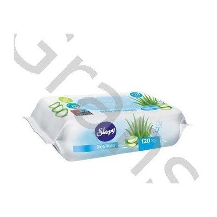 Właściwości lecznicze aloesu