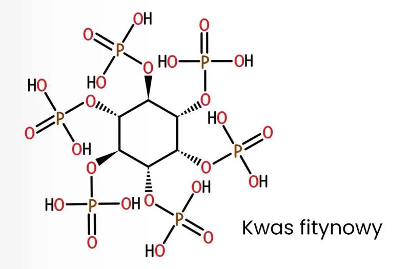 Kwas fitowy właściwości zdrowotne