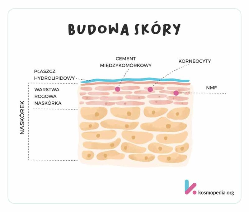 Jak skutecznie chronić barierę hydrolipidową swojej skóry?