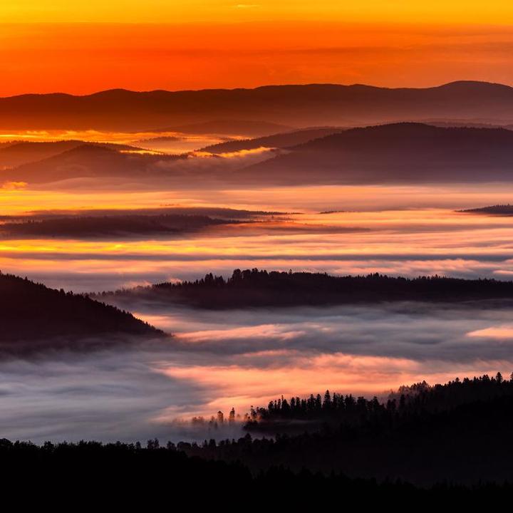 Odkrywanie kanonów piękna: jak różnorodność kształtuje nasze postrzeganie estetyki