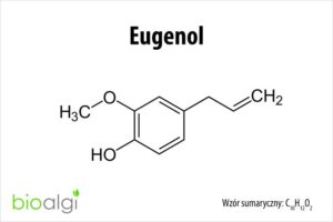 Eugenol – tajemniczy składnik, który zmienia nasze spojrzenie na aromaterapię